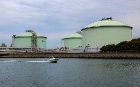 Japanese utilities withhold earnings guidance amid fuel volatility