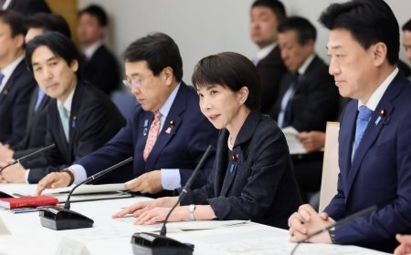 Japan secures enough petroleum-derived naphtha to last into 2027