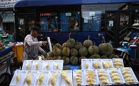 Bangkok food vendor curbs push city staple from the streets