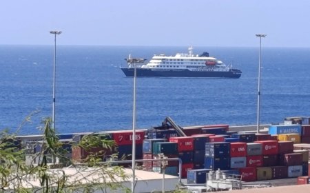 How an ocean cruise turned into a hantavirus nightmare