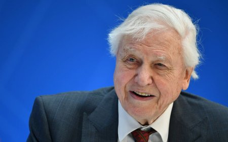 100 years on Earth: Iconic naturalist Attenborough to mark century