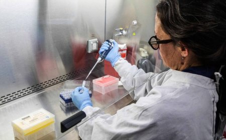 Risk of hantavirus transmitting between humans is low, health ministry says