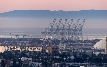 U.S. trade court rules Trump tariffs illegal, but issues narrow block