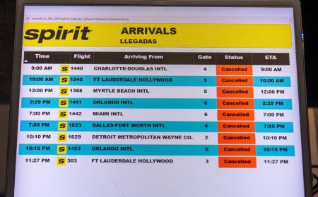 Spirit exit likely to lead to higher U.S. airfares, experts say