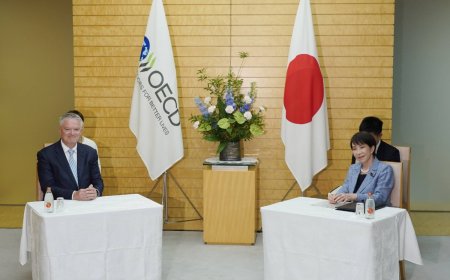 OECD chief sees Japan's zero consumption tax plan as costly