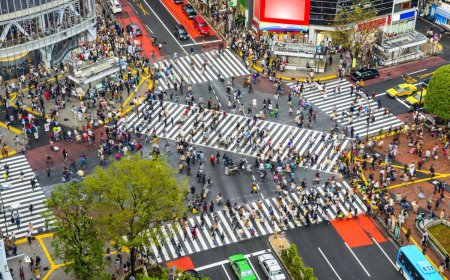 Japan’s inflation eases to four-year low, complicating BOJ hike