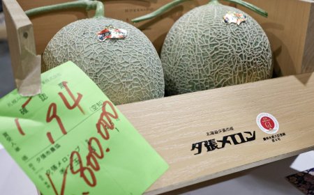Yubari melons fetch record ¥5.8 million at first auction of season