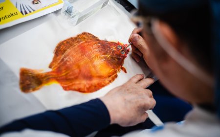 From catch to canvas, fish prints have become fine art