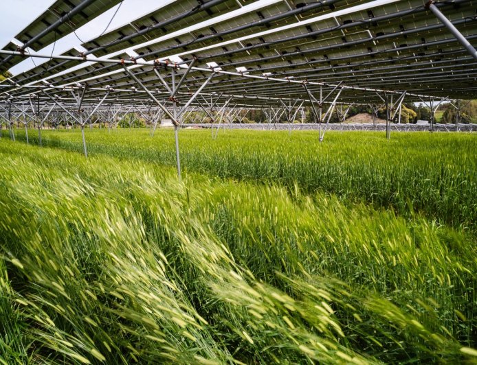 As Iran war sends oil prices soaring, some see fresh potential for solar in Japan