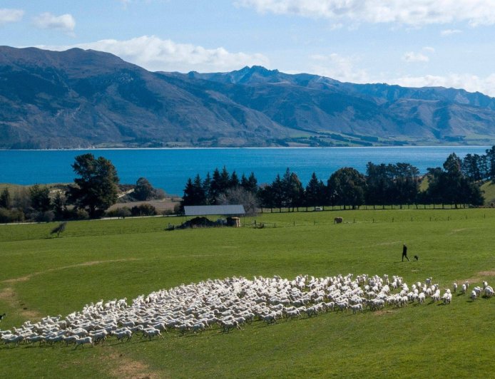 Court case challenges New Zealand's 'magical thinking' climate plans