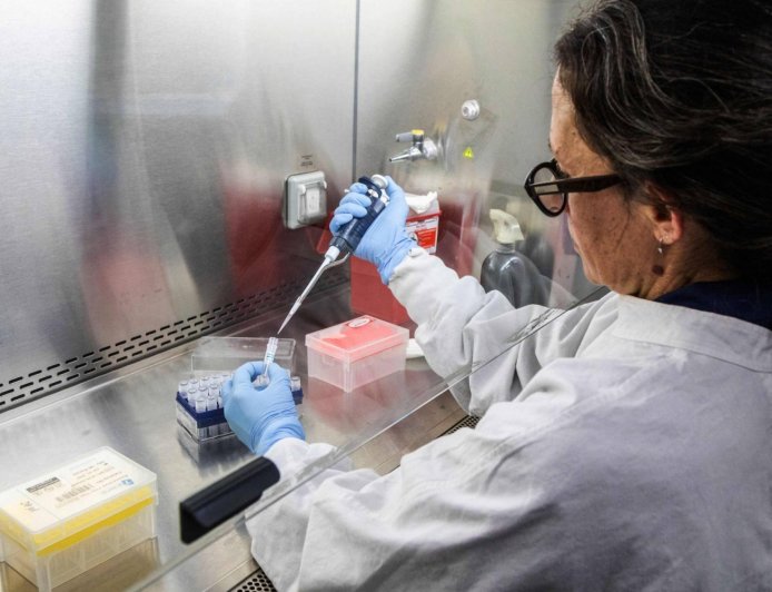 Risk of hantavirus transmitting between humans is low, health ministry says