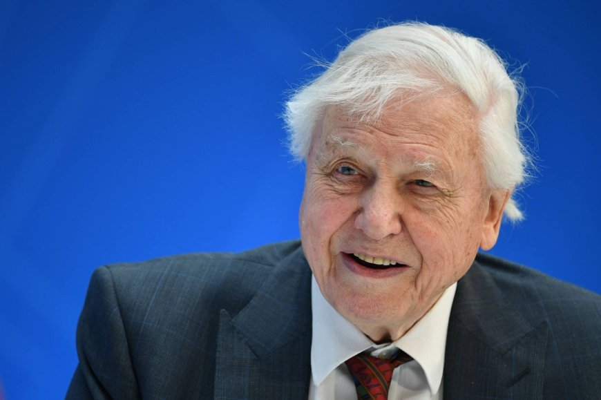 100 years on Earth: Iconic naturalist Attenborough to mark century