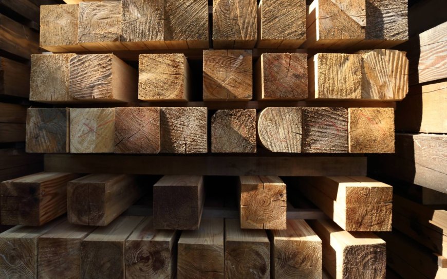 Japan group launches online timber market