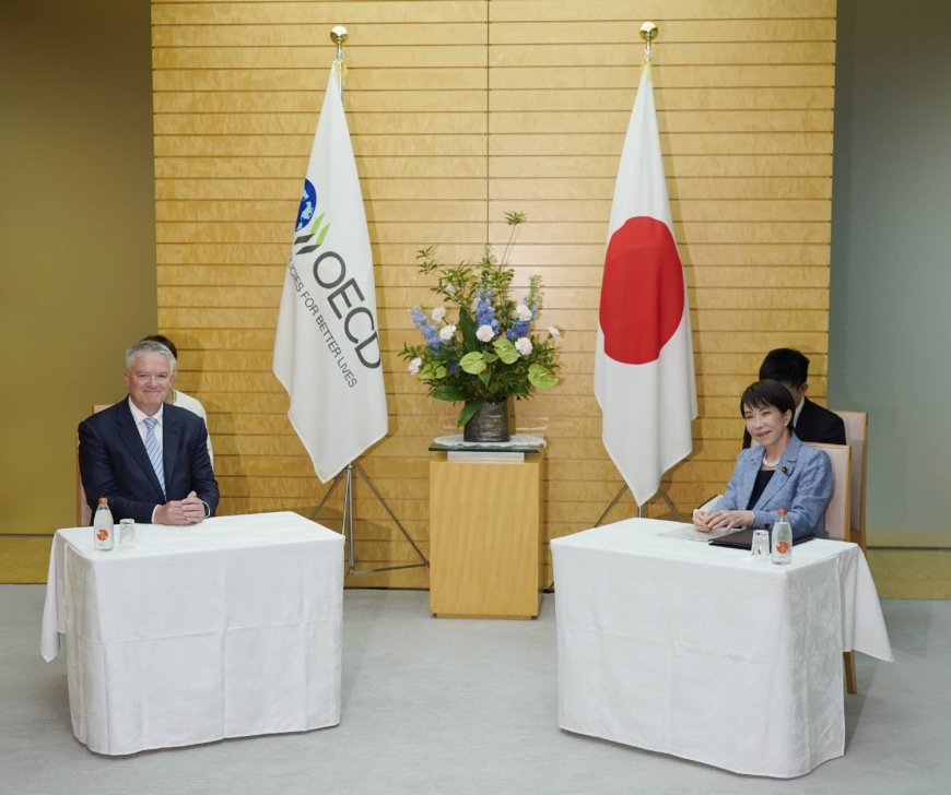 OECD chief sees Japan's zero consumption tax plan as costly