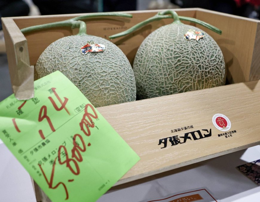 Yubari melons fetch record ¥5.8 million at first auction of season