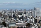 Japanese insurers sold domestic superlong bonds as yields soared
