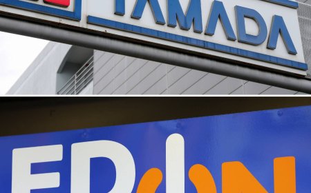 Electronics retailers Yamada and Edion eye business integration