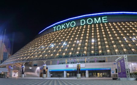 J-pop group Arashi takes its final bow at Tokyo Dome