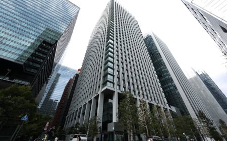 Japanese pension fund proxies buy record foreign bonds in May
