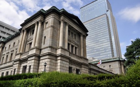 Bank of Japan rate increase a ’done deal,’ course ahead uncertain