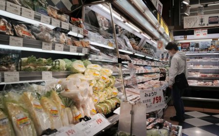Consumption tax cut on groceries could do more harm than good
