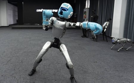 Why it’s nearly impossible to build a robot without China
