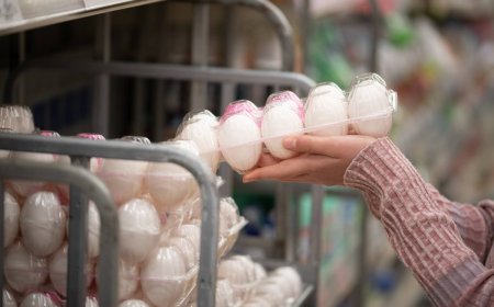 Prices of chicken and egg in Japan hit record highs