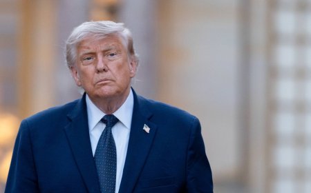 Trump builds a new U.S. tariff wall in shakeup of winners and losers