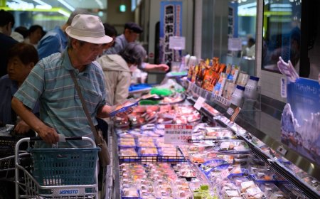 Interim draft on two-year food tax cut presented