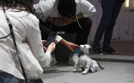 Sony discontinues Japan sales of Aibo robot puppy