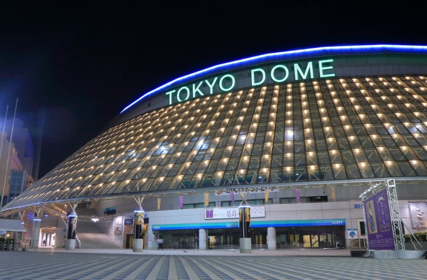 J-pop group Arashi takes its final bow at Tokyo Dome