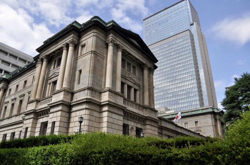Bank of Japan rate increase a ’done deal,’ course ahead uncertain
