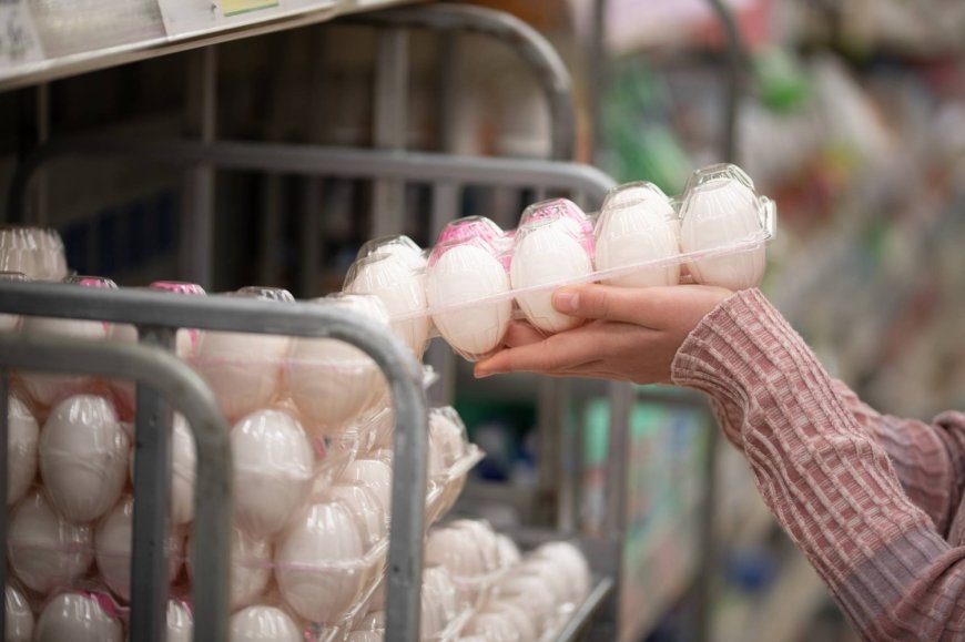 Prices of chicken and eggs in Japan hit record highs