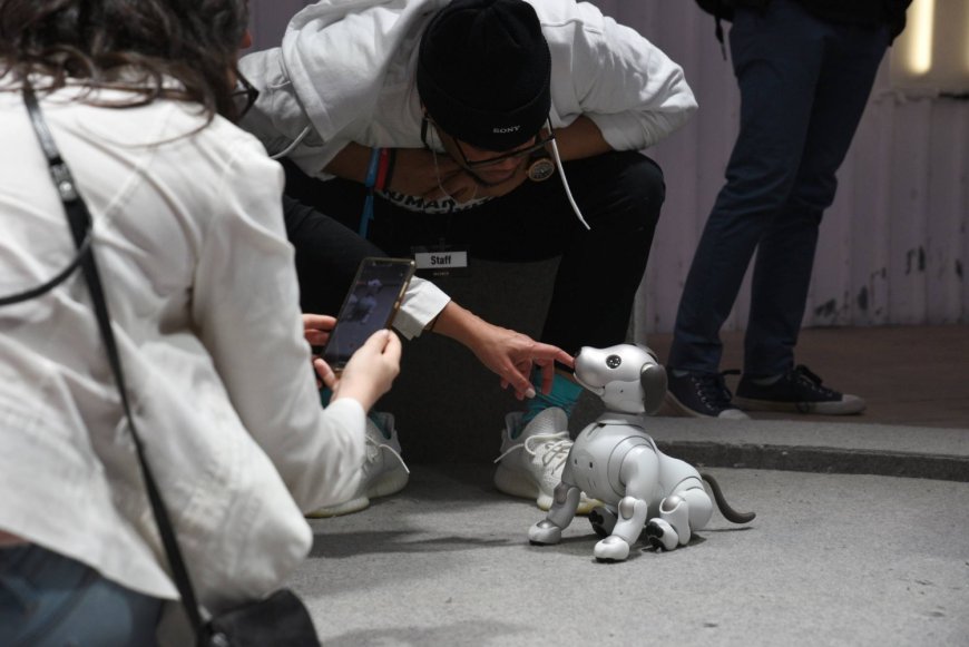 Sony discontinues Japan sales of Aibo robot puppy