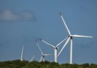 BP exit to add strain on Japan offshore wind as costs climb