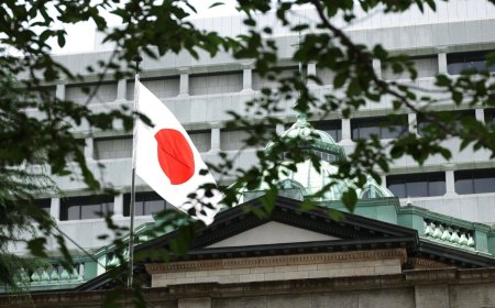 Sinking yen and robust economy support BOJ case for earlier rate hike