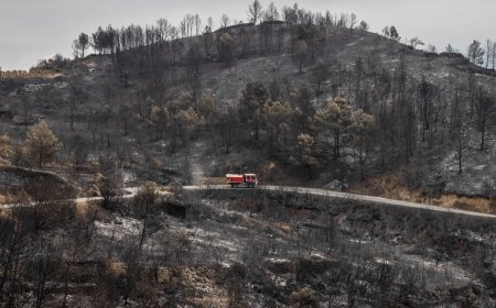 Private equity plays heat detective as climate analytics boom
