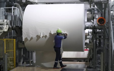 Japan’s producer prices rise at fastest pace since early 2023
