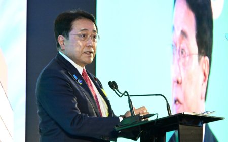 Japan considering stockpiling naphtha again