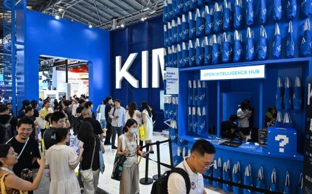Chinese AI sensation Moonshot’s gamble on big models pays off