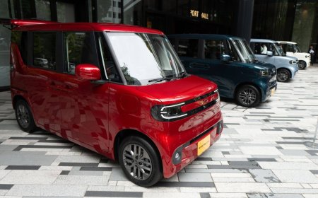 BYD takes on rivals in Japan with its own electric mini car