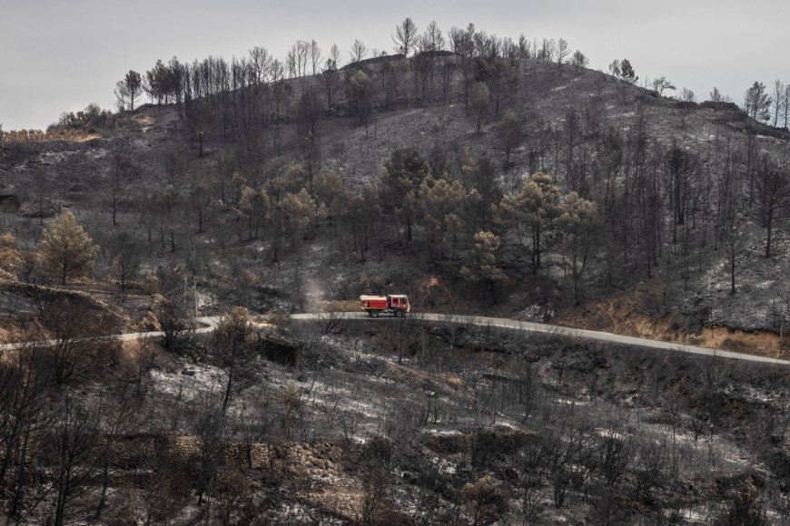 Private equity plays heat detective as climate analytics boom