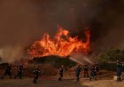 How the hard reality of climate change hit Europe’s economy this summer