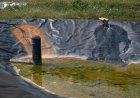 In U.S., rare earths extracted from coal mine wastewater