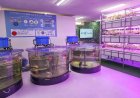 Firms tap AI and sensors to boost indoor farming as Japan faces farmer shortage
