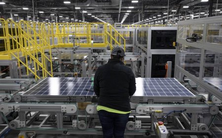 Trump’s homegrown solar push risks widening green divide