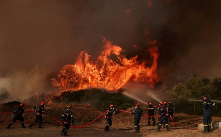 How the hard reality of climate change hit Europe’s economy this summer