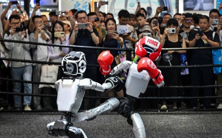 What is Unitree and why are China’s humanoid robot makers racing to list?