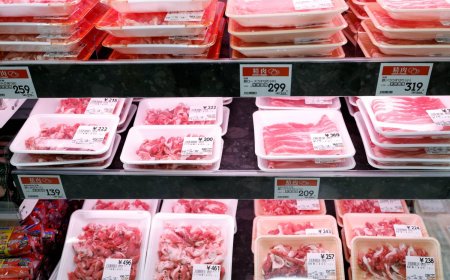 Pork, chicken prices in Japan hit record highs in August