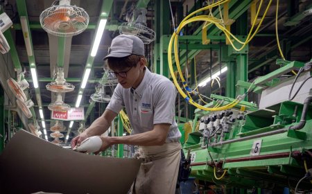 Producer price gains maintain pressure on businesses as BOJ mulls rate path